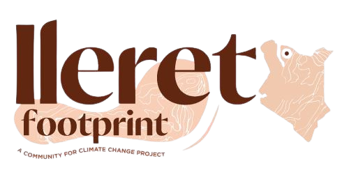 Ileret Footprint