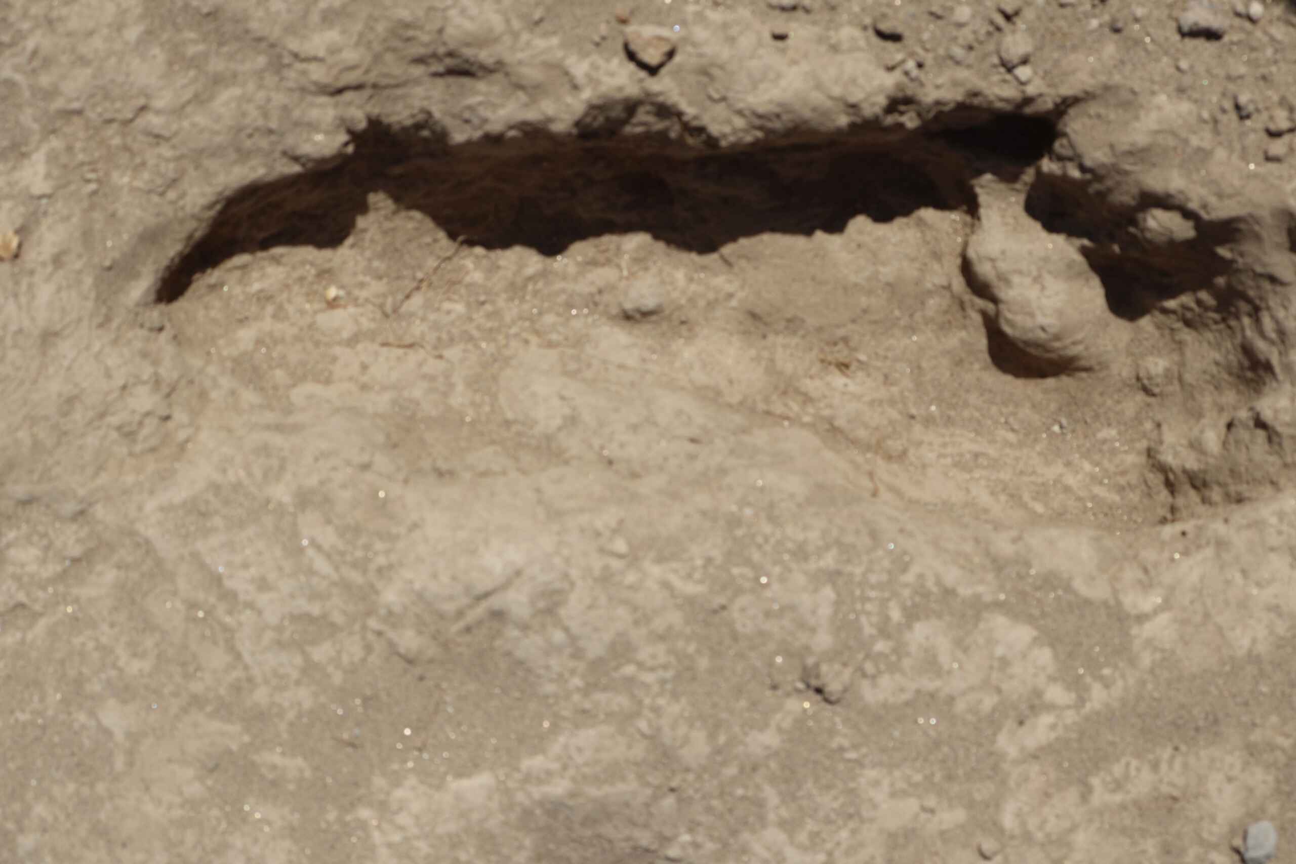 footprint image compressed